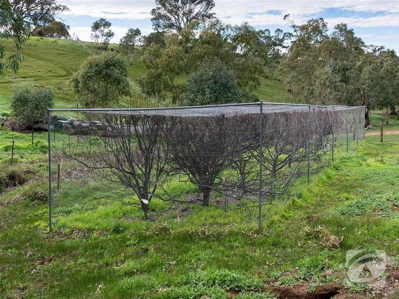 Lot 32 Scrubby Hill Road, Highland Valley SA 5255