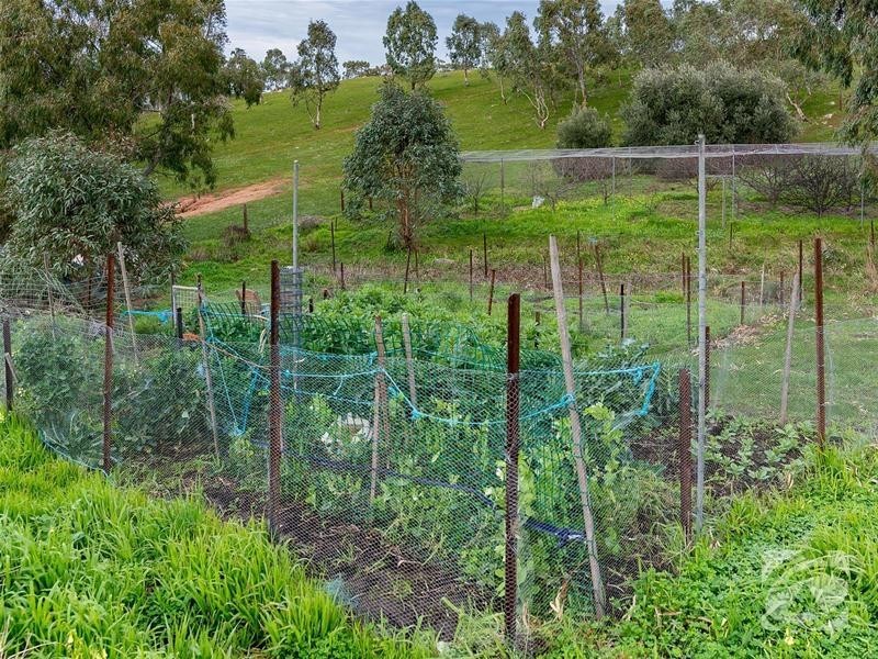 Lot 32 Scrubby Hill Road, Highland Valley SA 5255