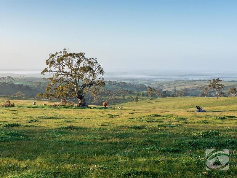 Lot 32 Scrubby Hill Road, Highland Valley SA 5255