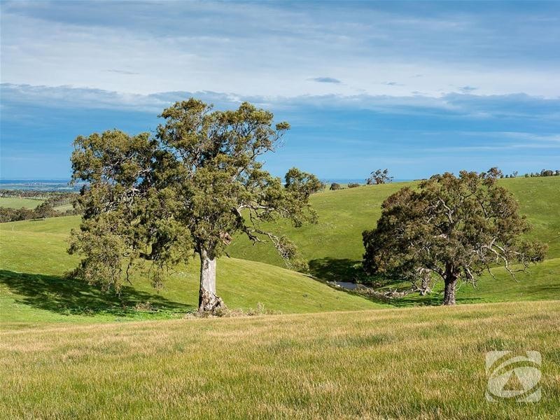 Lot 32 Scrubby Hill Road, Highland Valley SA 5255