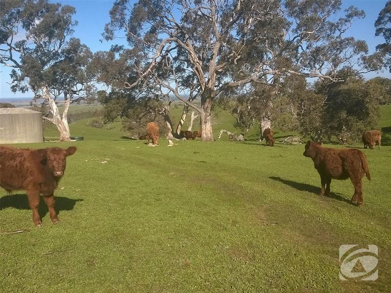 Lot 32 Scrubby Hill Road, Highland Valley SA 5255