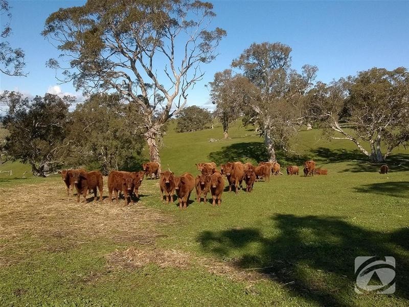 Lot 32 Scrubby Hill Road, Highland Valley SA 5255