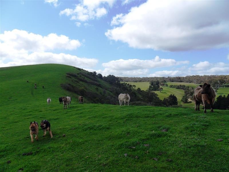 659 Adelaide-Goolwa Road, Bull Creek SA 5157