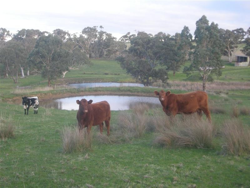 9 Bunnet Road, Bugle Ranges SA 5251