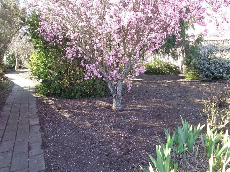 37a Market Place, Nairne SA 5252