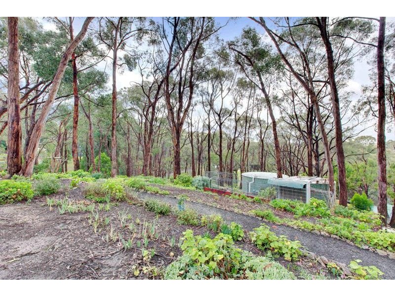 66 Mountford Avenue, Bridgewater SA 5155