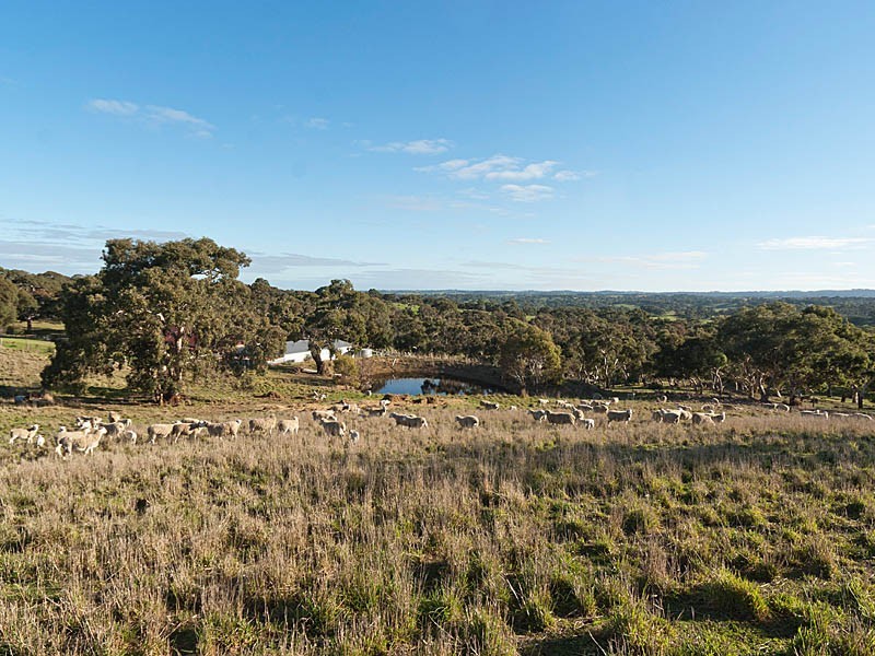 365 Gemmell Road, Macclesfield SA 5153