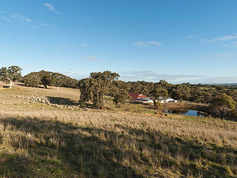 365 Gemmell Road, Macclesfield SA 5153