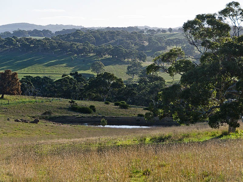 365 Gemmell Road, Macclesfield SA 5153