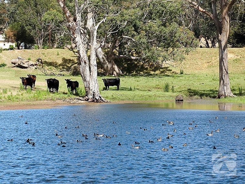 1845 Strathalbyn Road, Flaxley SA 5153