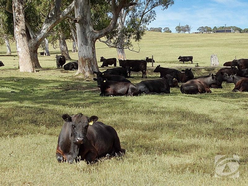 1845 Strathalbyn Road, Flaxley SA 5153