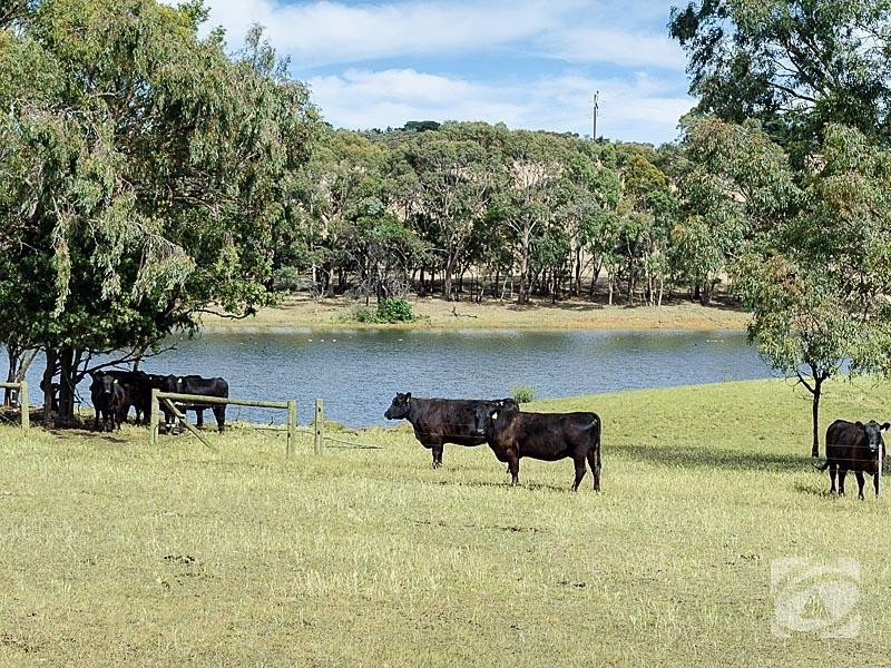 1845 Strathalbyn Road, Flaxley SA 5153