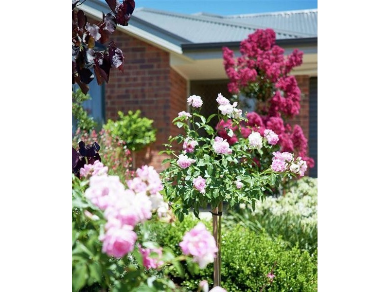 75 Rachel Circuit, Nairne SA 5252