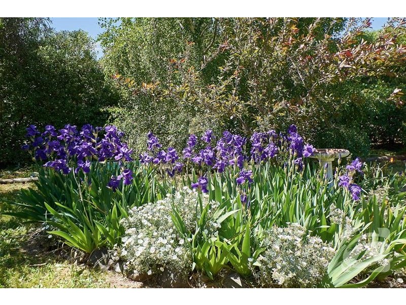 20 Jubilee Crescent, Mount Barker SA 5251