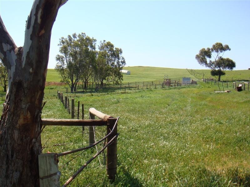 Lot 8 Sawpit Gully Road, Dawesley SA 5252