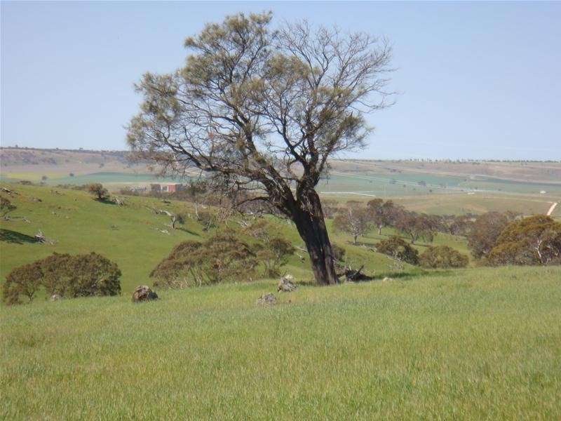 Lot 8 Sawpit Gully Road, Dawesley SA 5252