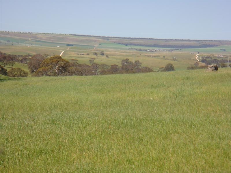 Lot 8 Sawpit Gully Road, Dawesley SA 5252