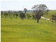 Lot 8 Sawpit Gully Road, Dawesley SA 5252