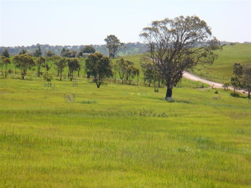 Lot 8 Sawpit Gully Road, Dawesley SA 5252
