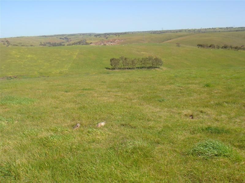 Lot 8 Sawpit Gully Road, Dawesley SA 5252