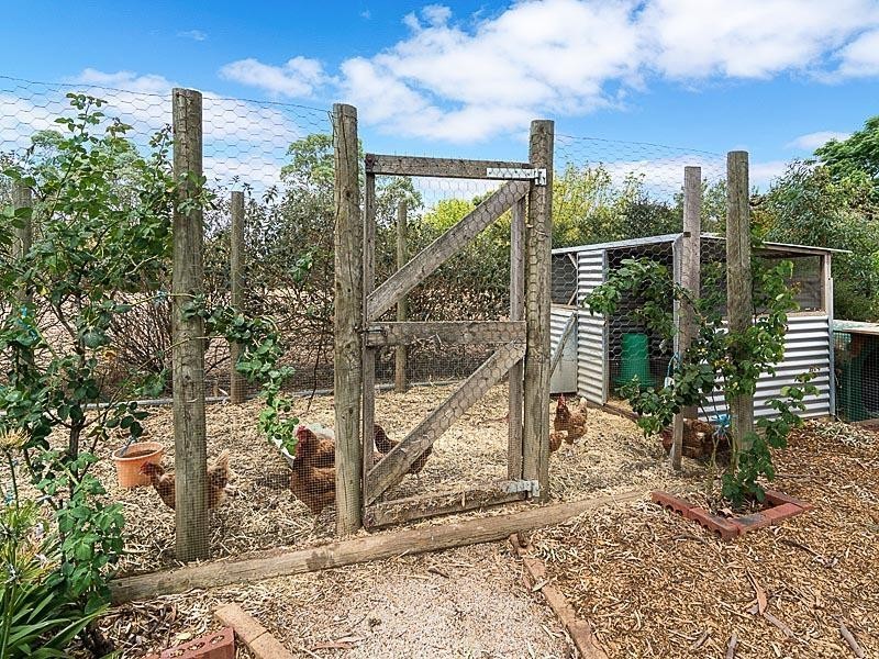 44 Claret Ash Drive, Mount Barker SA 5251