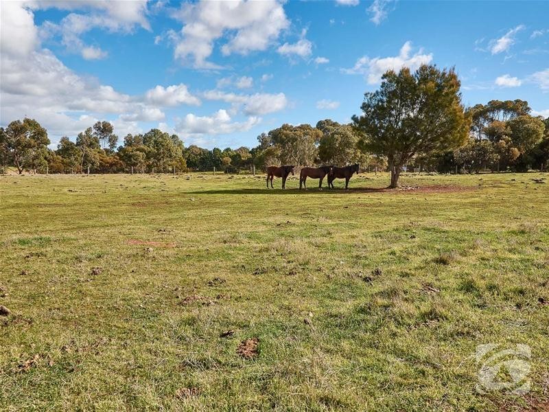 Lots 52 & 53 Cross Drive, Woodchester SA 5255