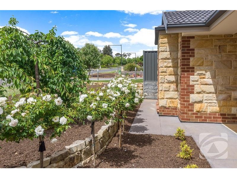 19 Bradford Street, Mount Barker SA 5251