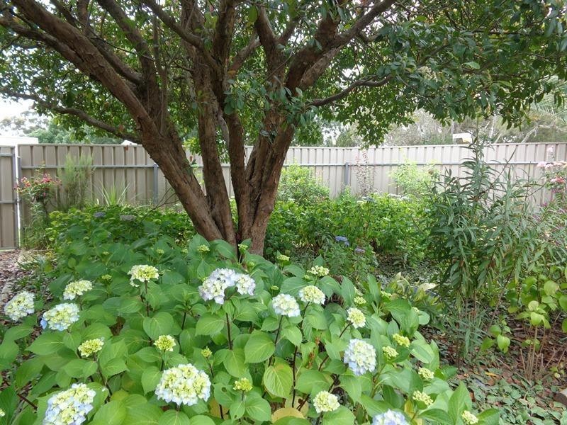 2 Dumas Street, Mount Barker SA 5251