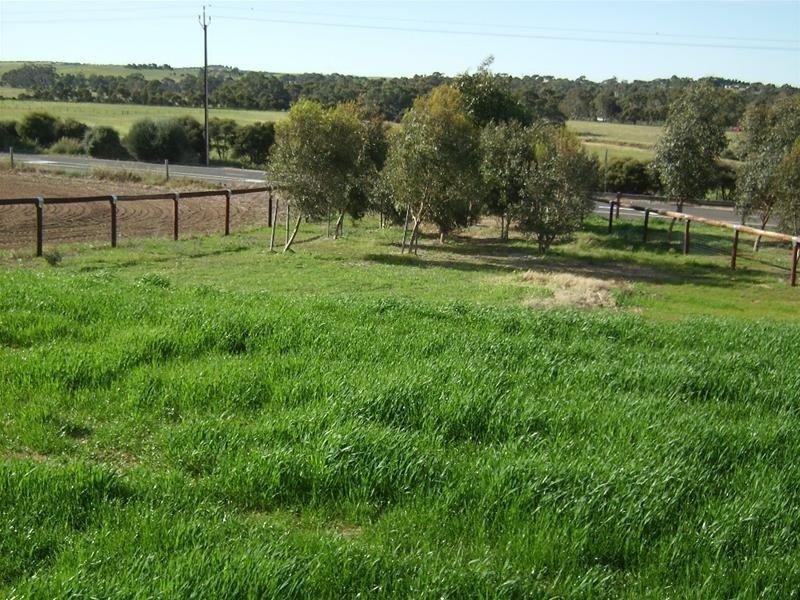 Lot 91, 8 Wick Way, Strathalbyn SA 5255