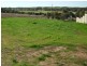 Lot 91, 8 Wick Way, Strathalbyn SA 5255