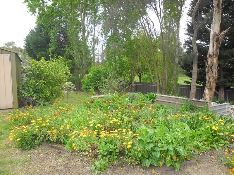 16 Bowden Court, Mount Barker SA 5251