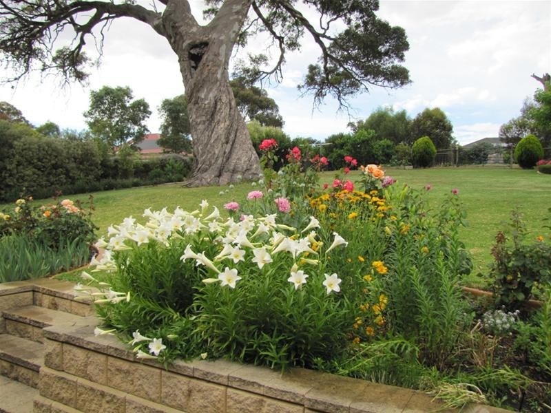 148 Burnbank Way, Mount Barker SA 5251