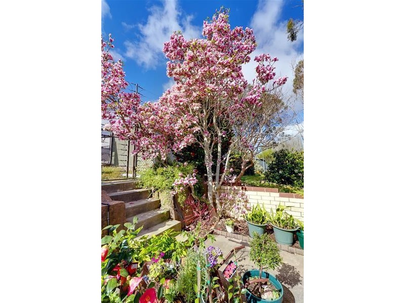 7 Bilney Road, Stirling SA 5152