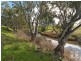 20 Riverdale Lane, Hartley SA 5255