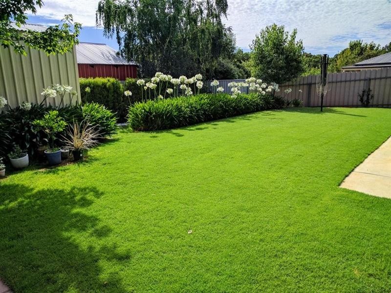 6 Randell Street, Mount Barker SA 5251