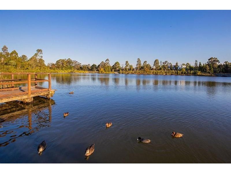 3 Wildflower Circuit, Upper Coomera QLD 4209
