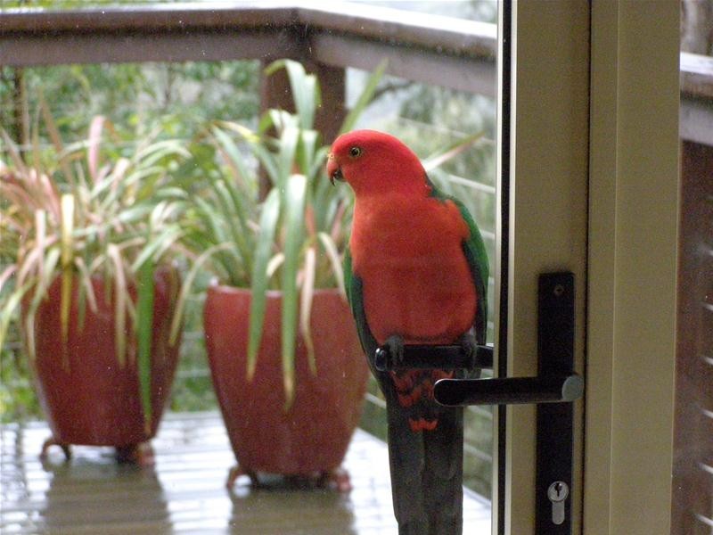 13 Greenhaven Drive, Umina Beach NSW 2257