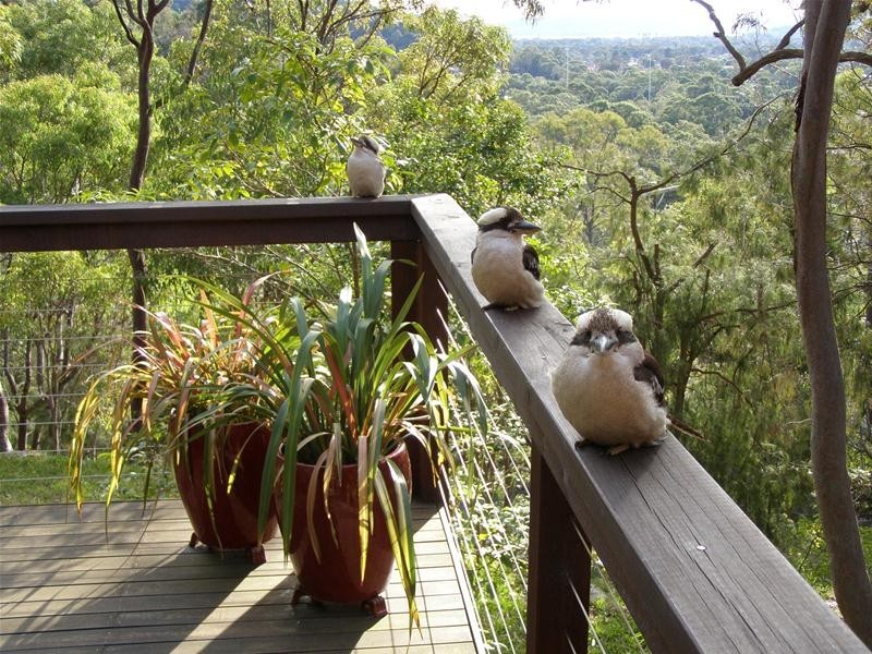 13 Greenhaven Drive, Umina Beach NSW 2257