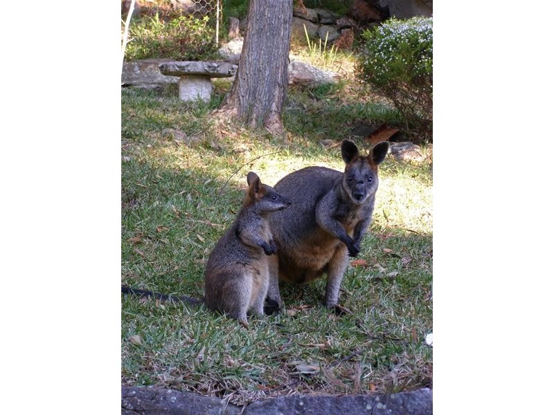 13 Greenhaven Drive, Umina Beach NSW 2257