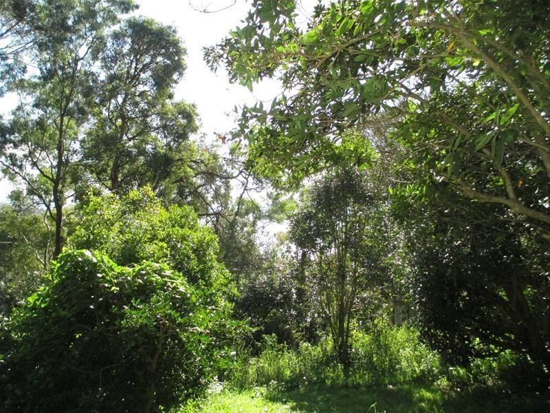 9 Bayview Crescent, Blackwall NSW 2256