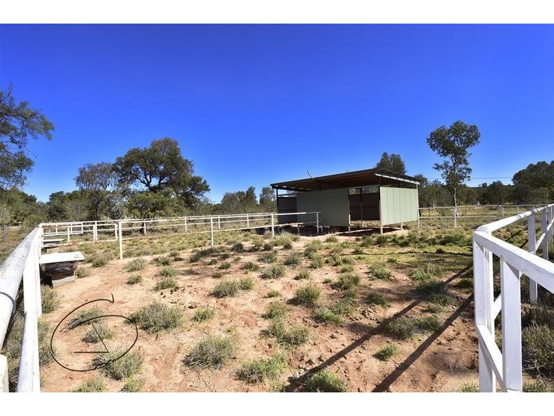 20 Parakeelya Road, Connellan NT 0870