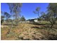 20 Parakeelya Road, Connellan NT 0870