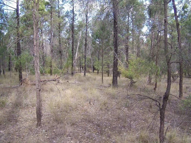 Lot/2 GRAYS Road, Chinchilla QLD 4413