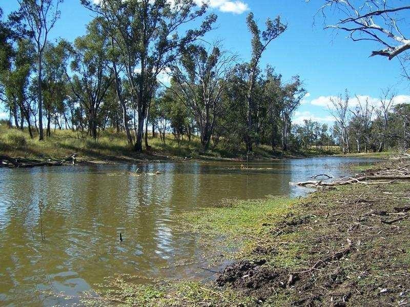 175 BURNT BRIDGE Road, Chinchilla QLD 4413