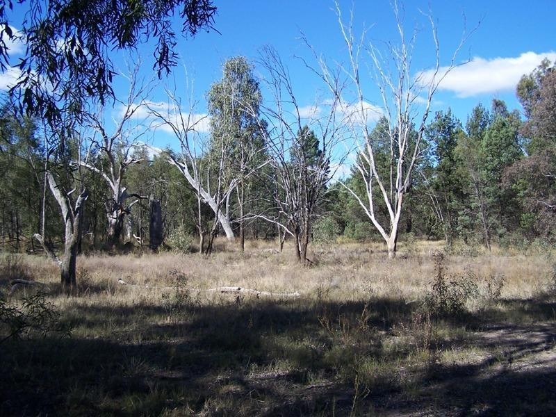 175 BURNT BRIDGE Road, Chinchilla QLD 4413