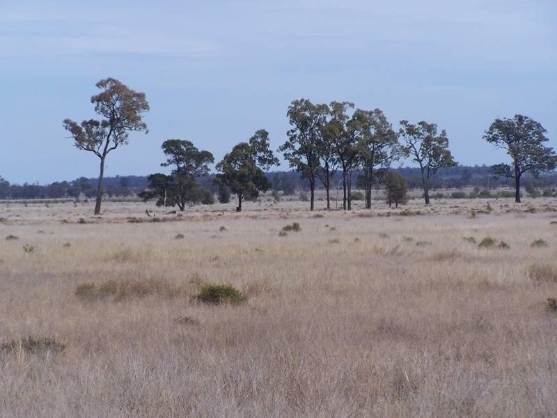 1213 Cameby Road, Chinchilla QLD 4413