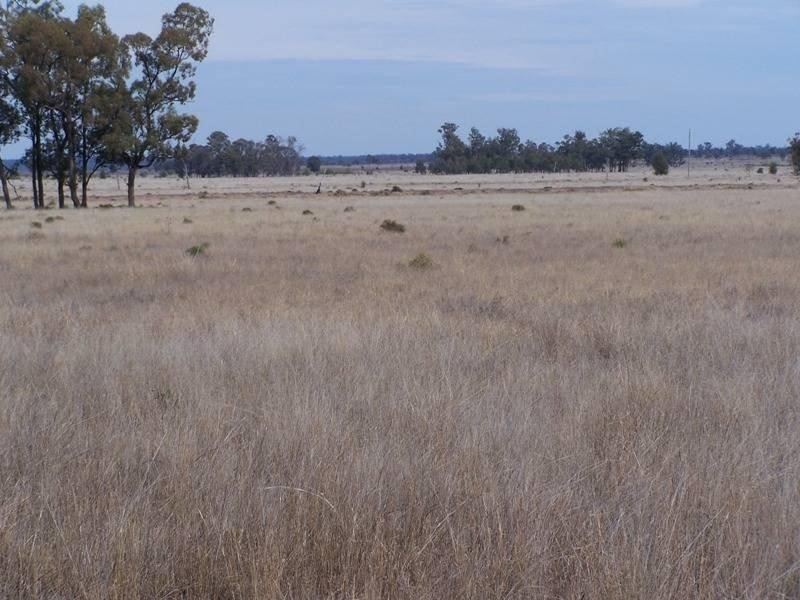 1213 Cameby Road, Chinchilla QLD 4413