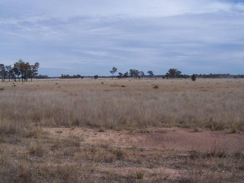 1213 Cameby Road, Chinchilla QLD 4413