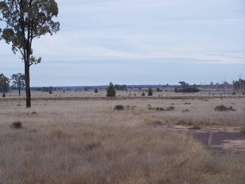 1213 Cameby Road, Chinchilla QLD 4413