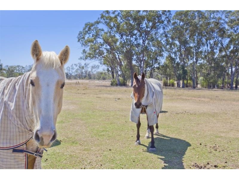 183 Burnt Bridge Road, Chinchilla QLD 4413